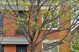 57 Rosemere Avenue