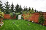 554 Wild Shore Crescent